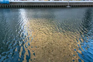 IMG_8720_1