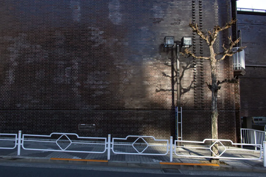 銀座築地近辺