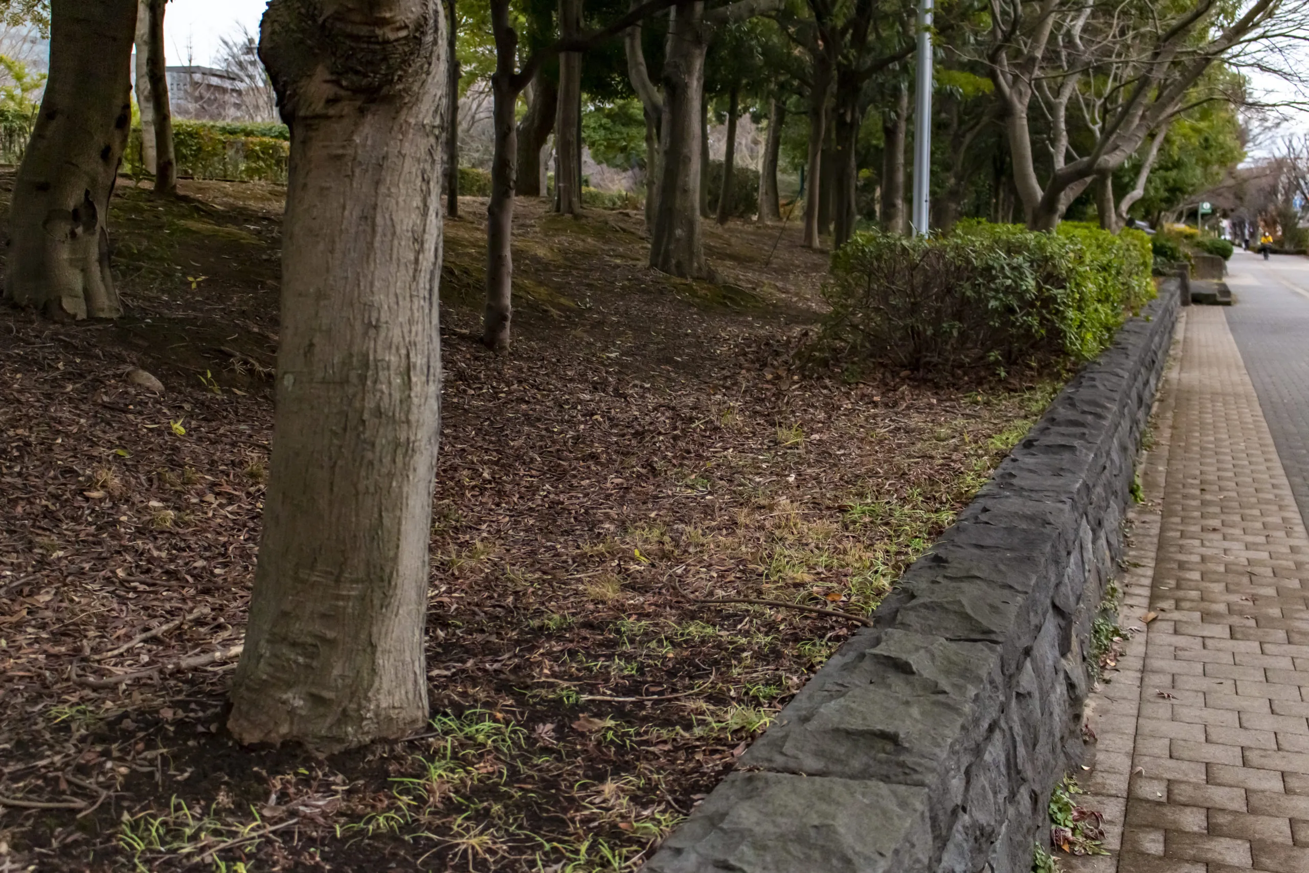 木場公園→日本橋 No.5