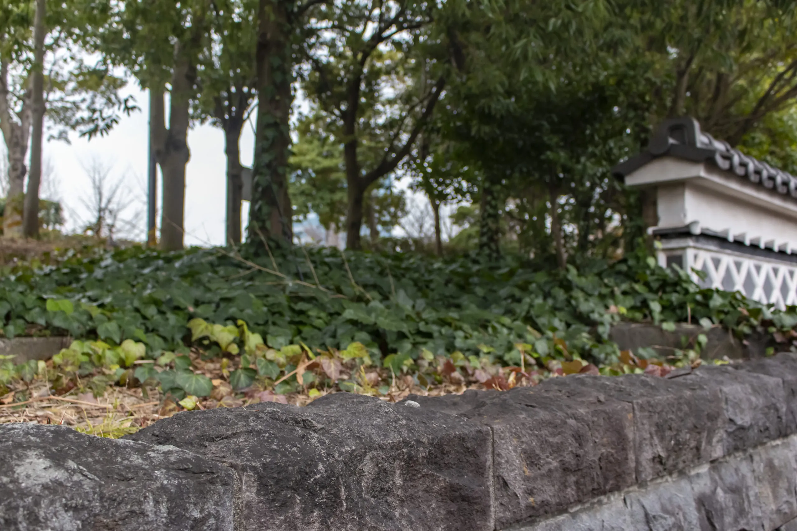 木場公園→日本橋 No.6