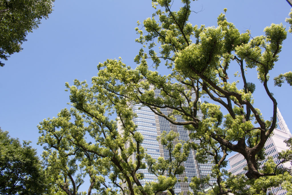 東京駅→有楽町→愛宕神社→三田駅