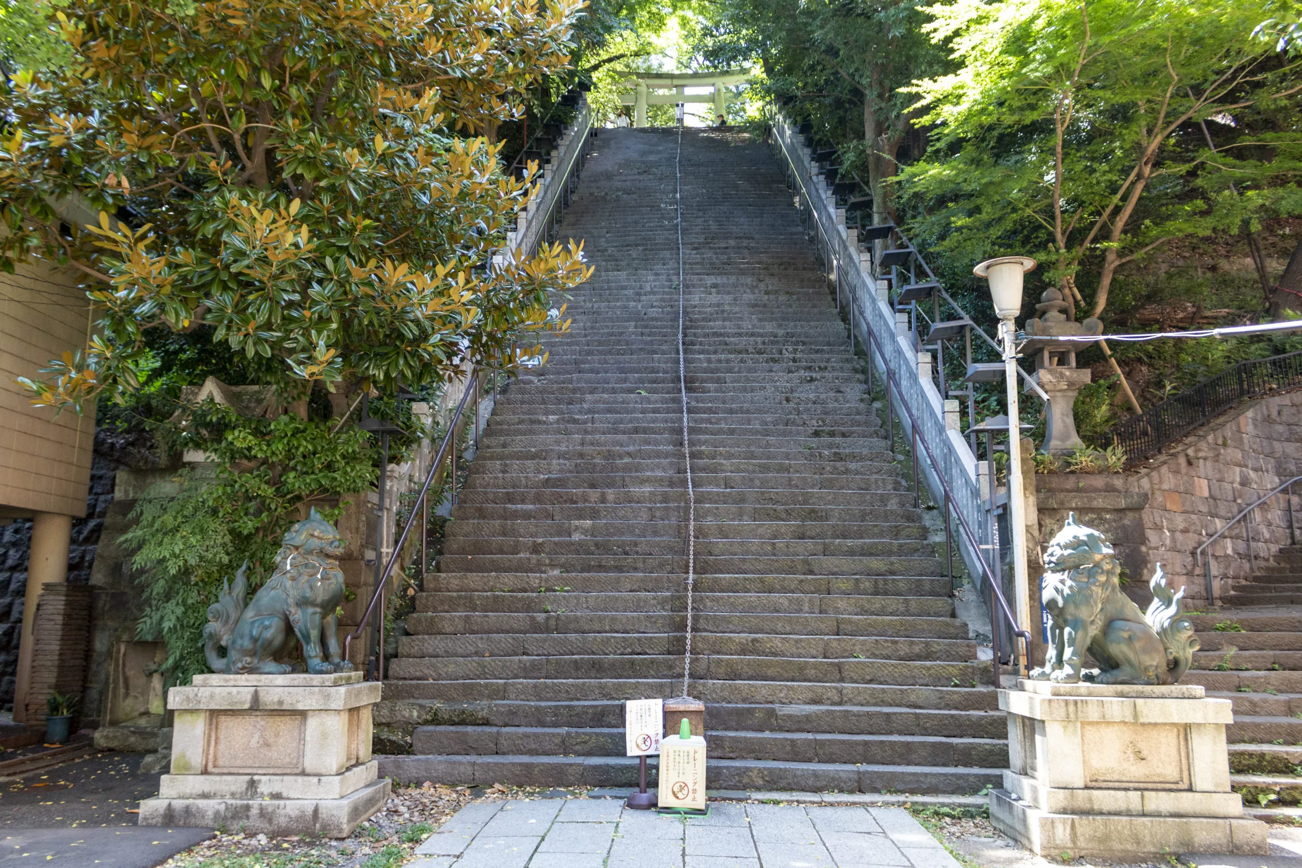 このセンターの手すりに歴史を感じます。