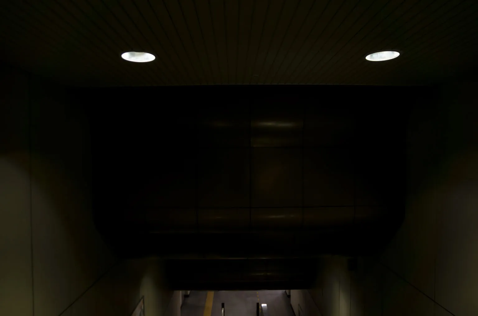 上野の一時