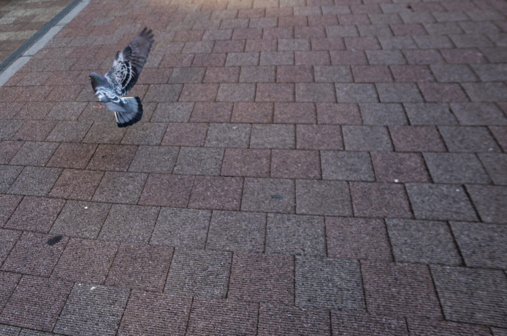 南太田→大岡川→横浜