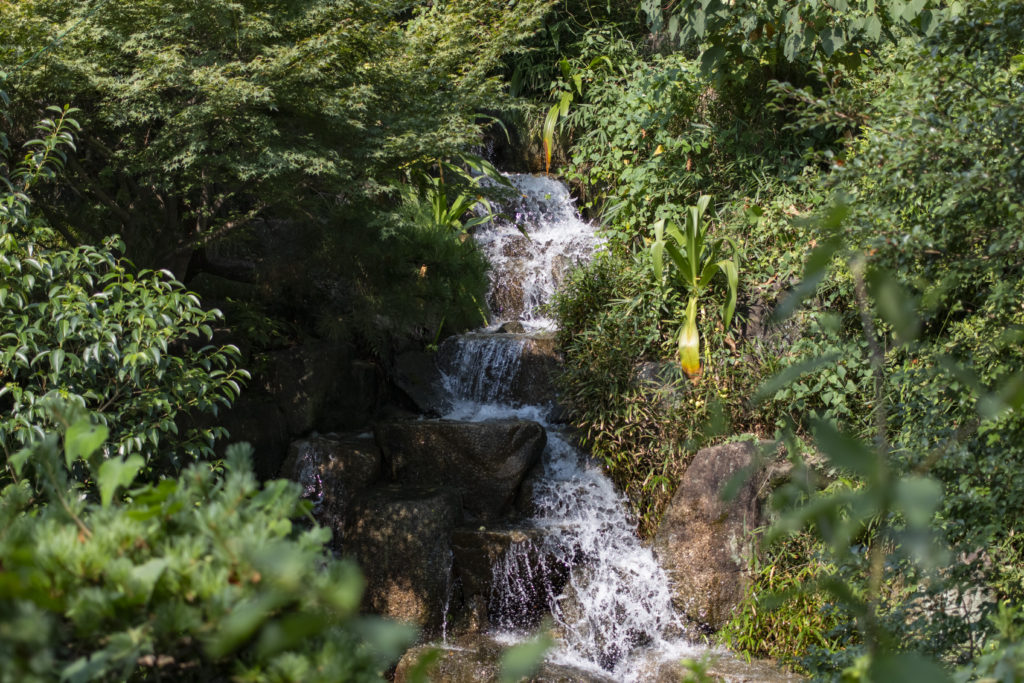渋谷→西郷山公園→中目黒→自由が丘→奥沢