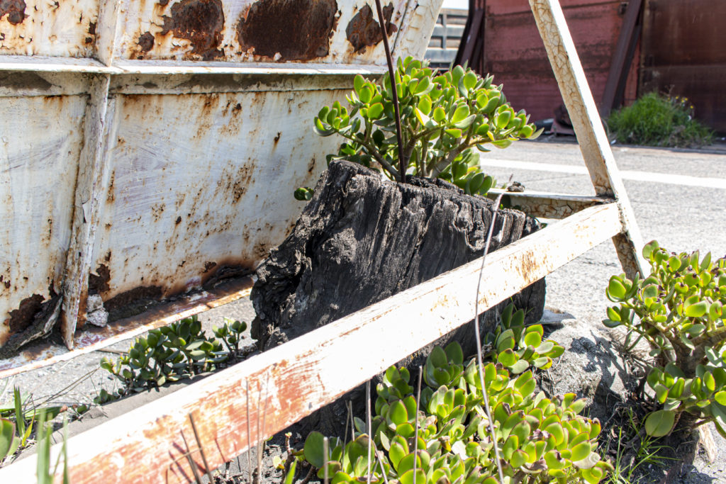 東扇島工業地帯→東扇島東公園