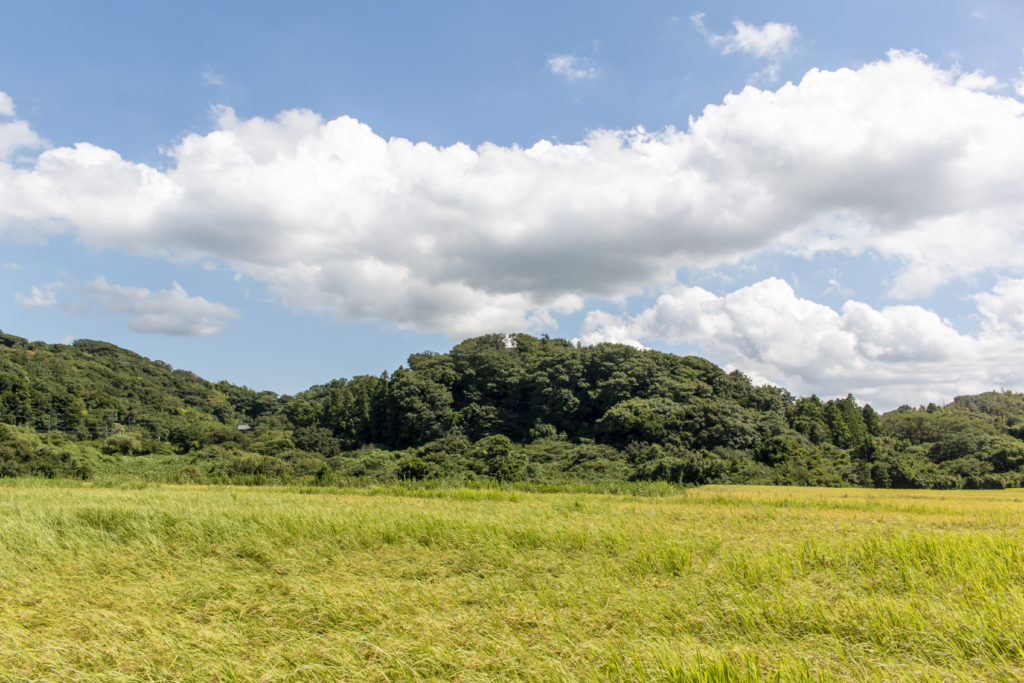富津→海ほたる