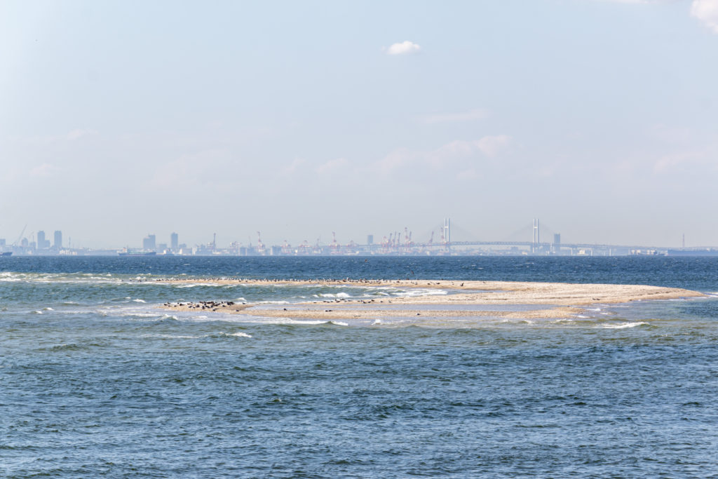 富津→海ほたる