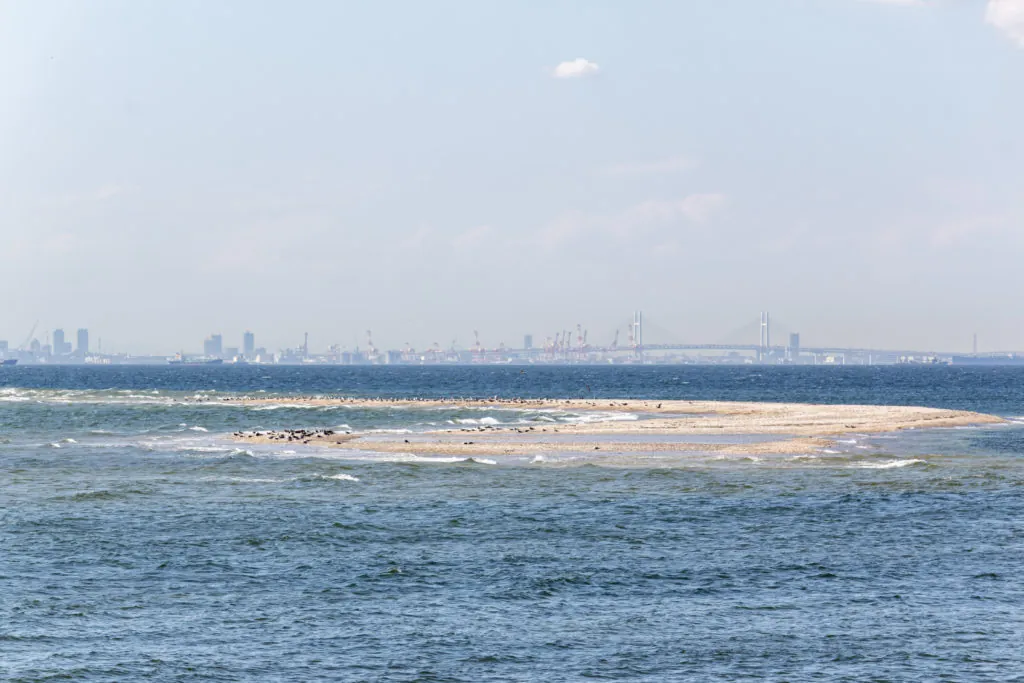 富津→海ほたる
