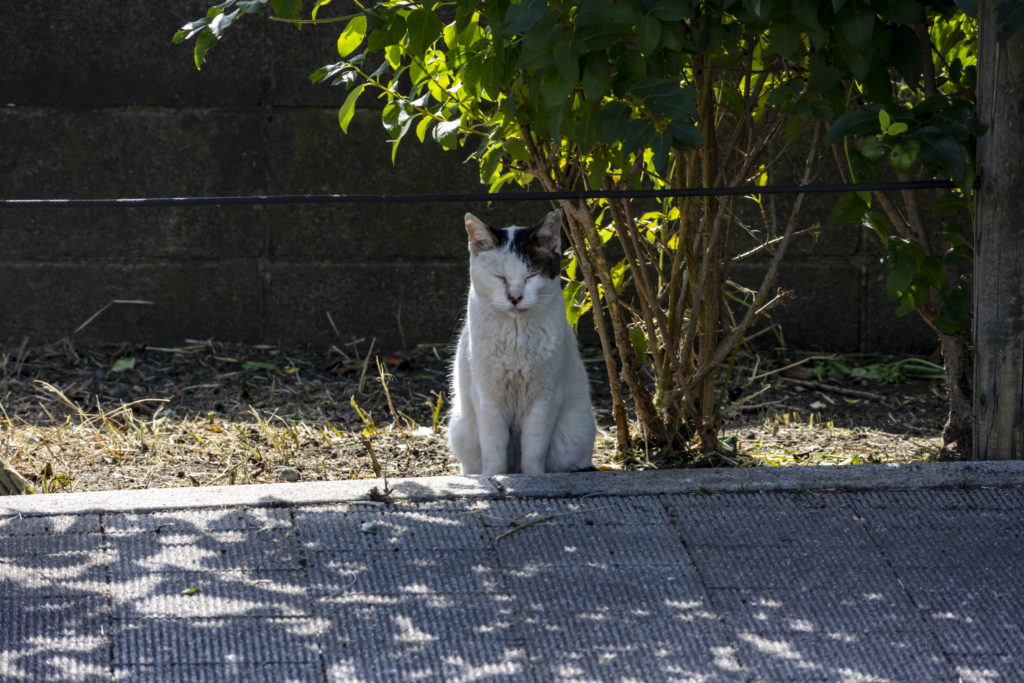 大森町→旧呑川緑地→森ケ崎海岸公園→ブルーコーナーUC店→羽田第３ターミナル