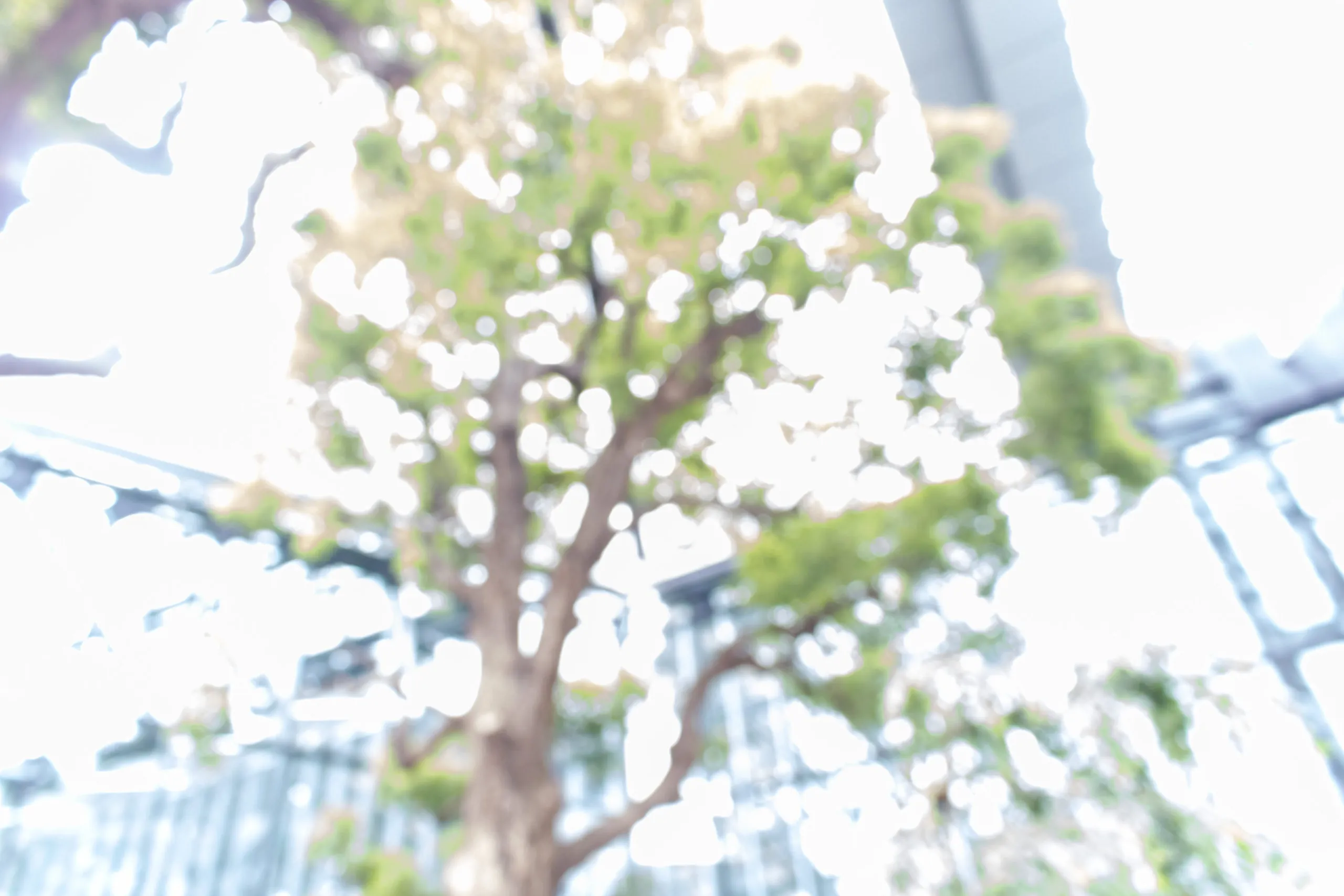 新宿西口で撮影したボケ・ブレ写真アルバム No.21