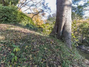 R0012523