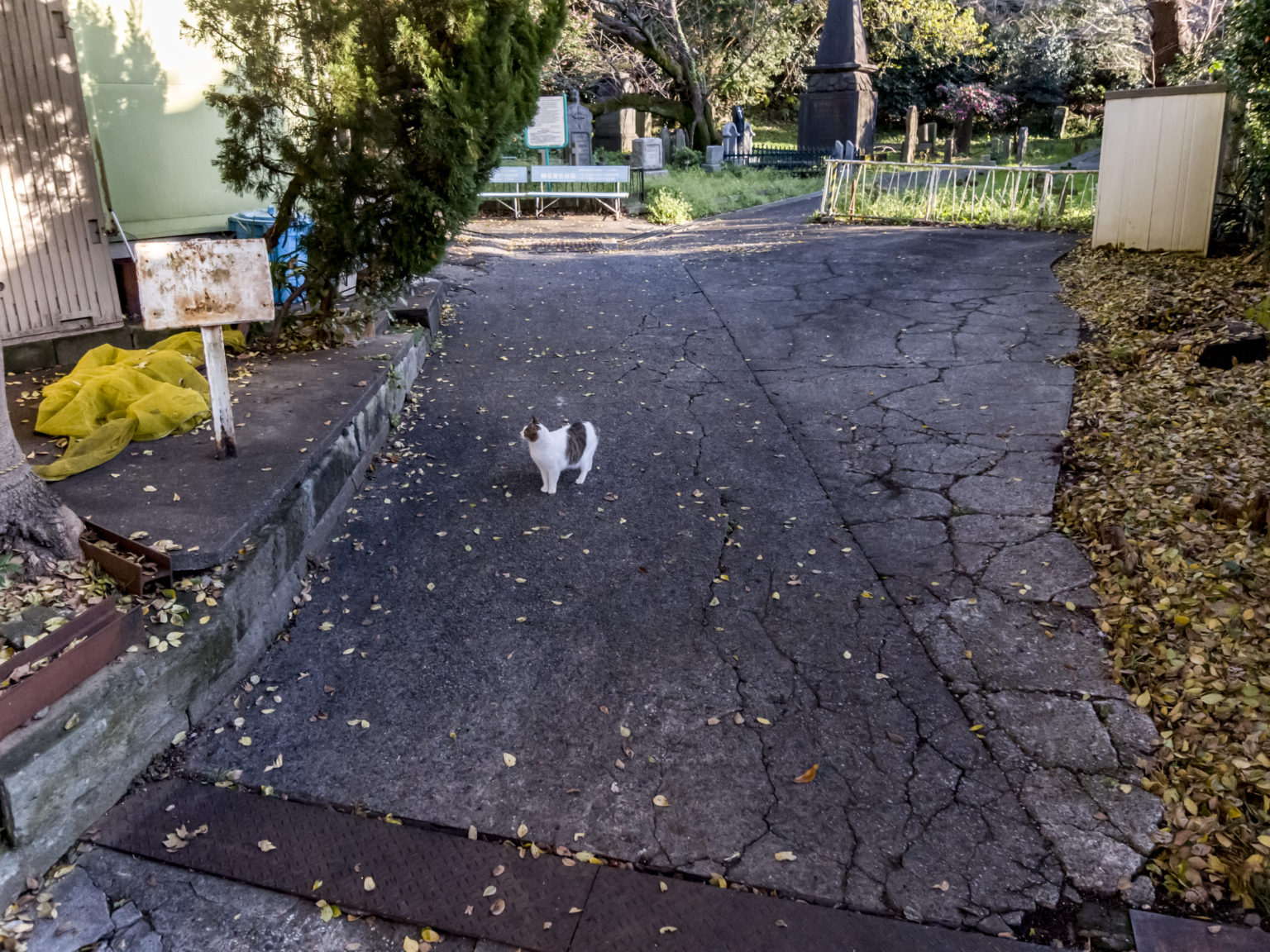 日出町→野毛→関内→横浜厳島神社→エリスマン邸→山下公園→横浜