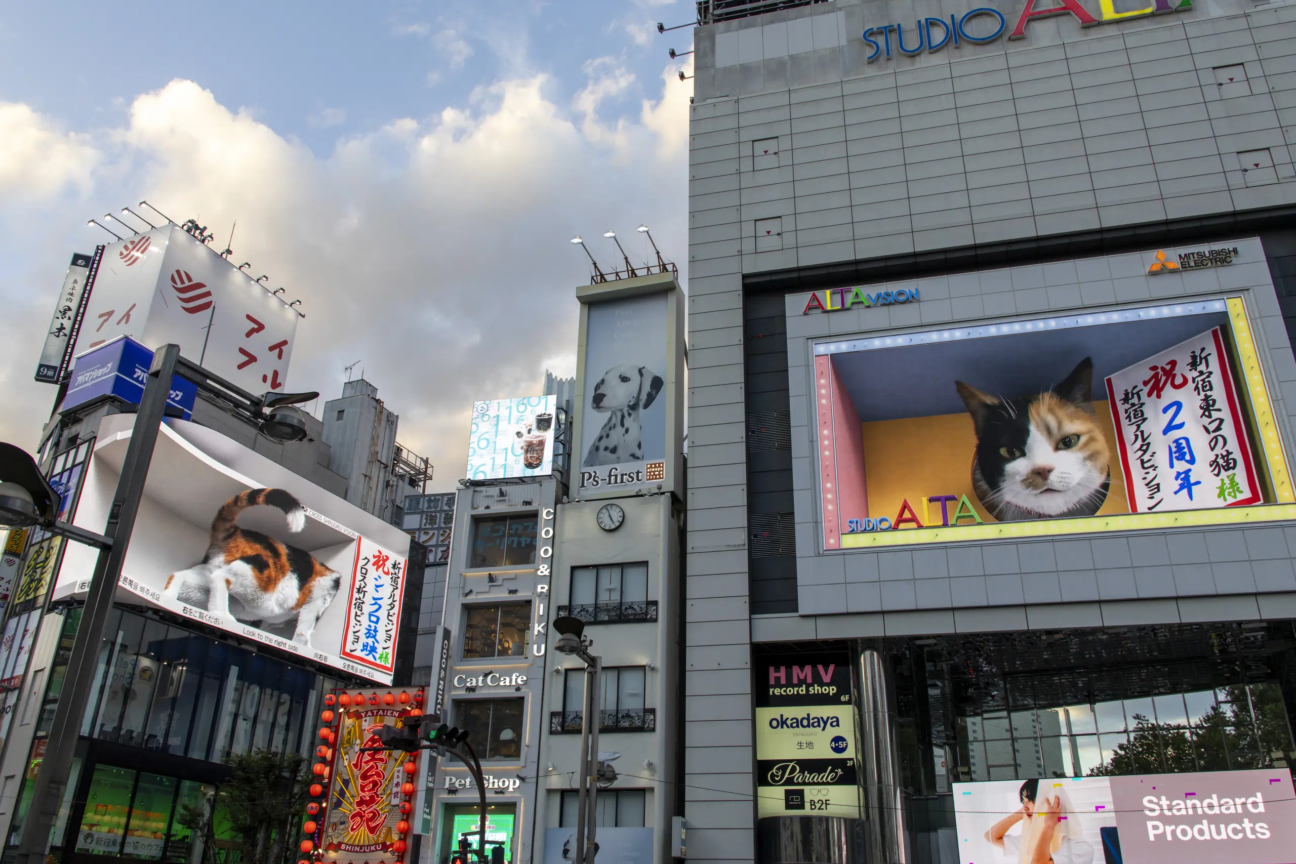 猫がアルタとコラボしとる。
