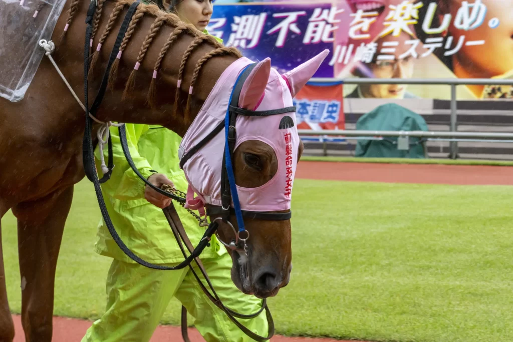 第二回川崎競馬場フォトツアーに参加