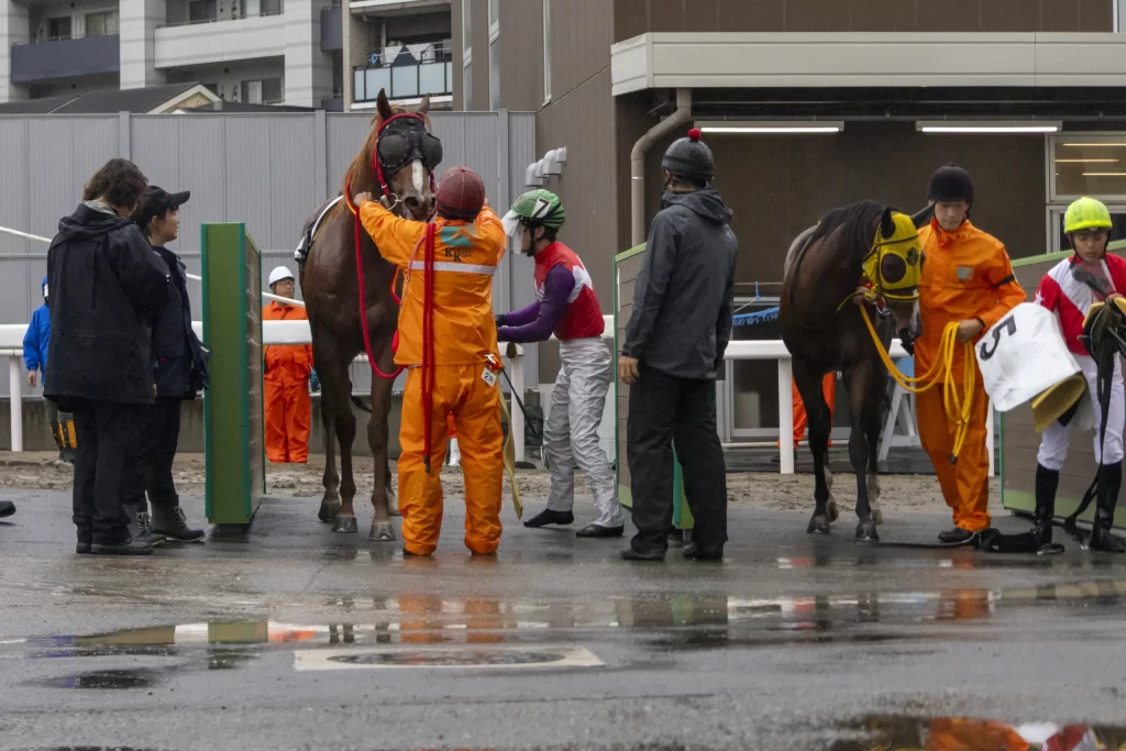 第二回川崎競馬場フォトツアーに参加