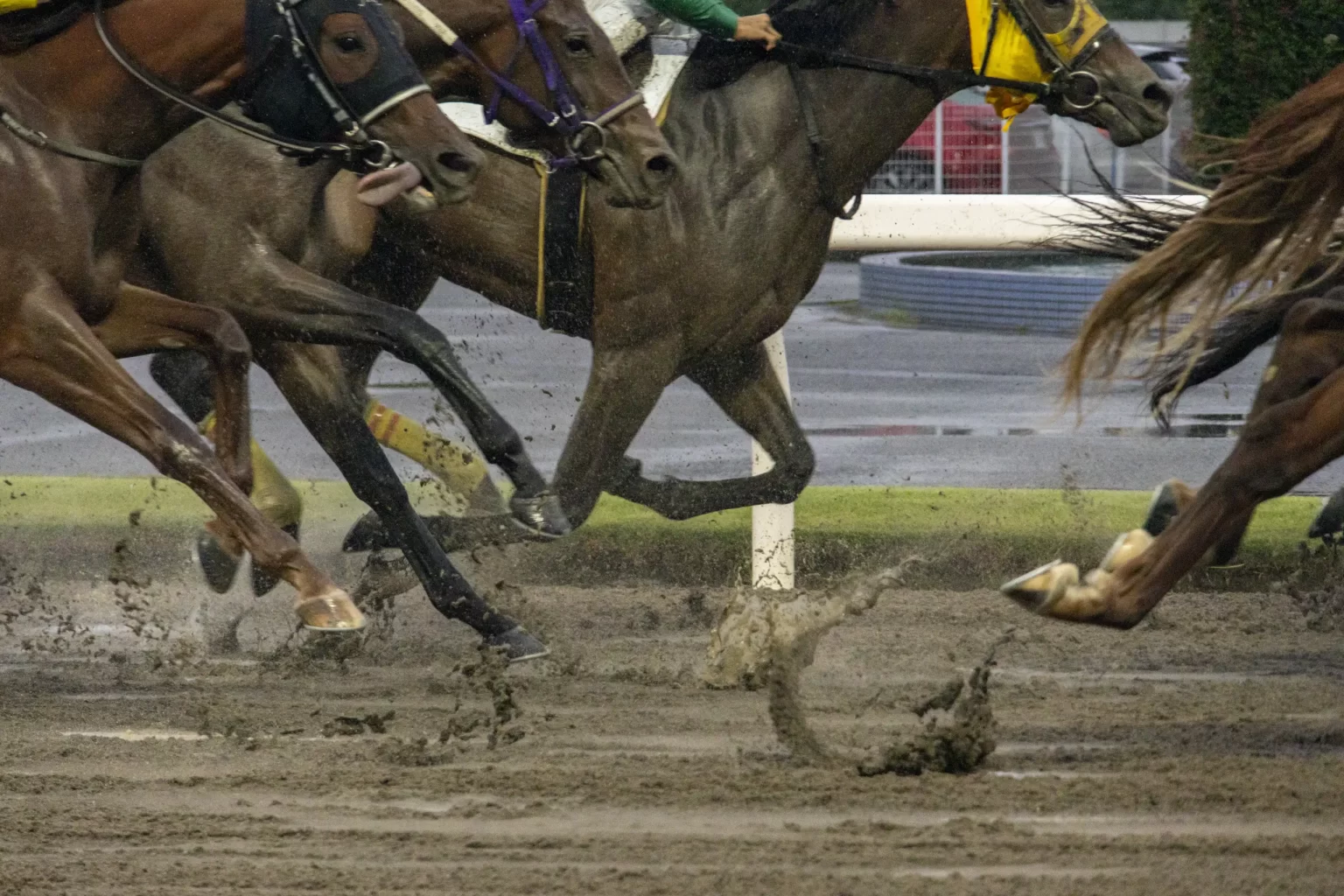 第二回川崎競馬場フォトツアーに参加
