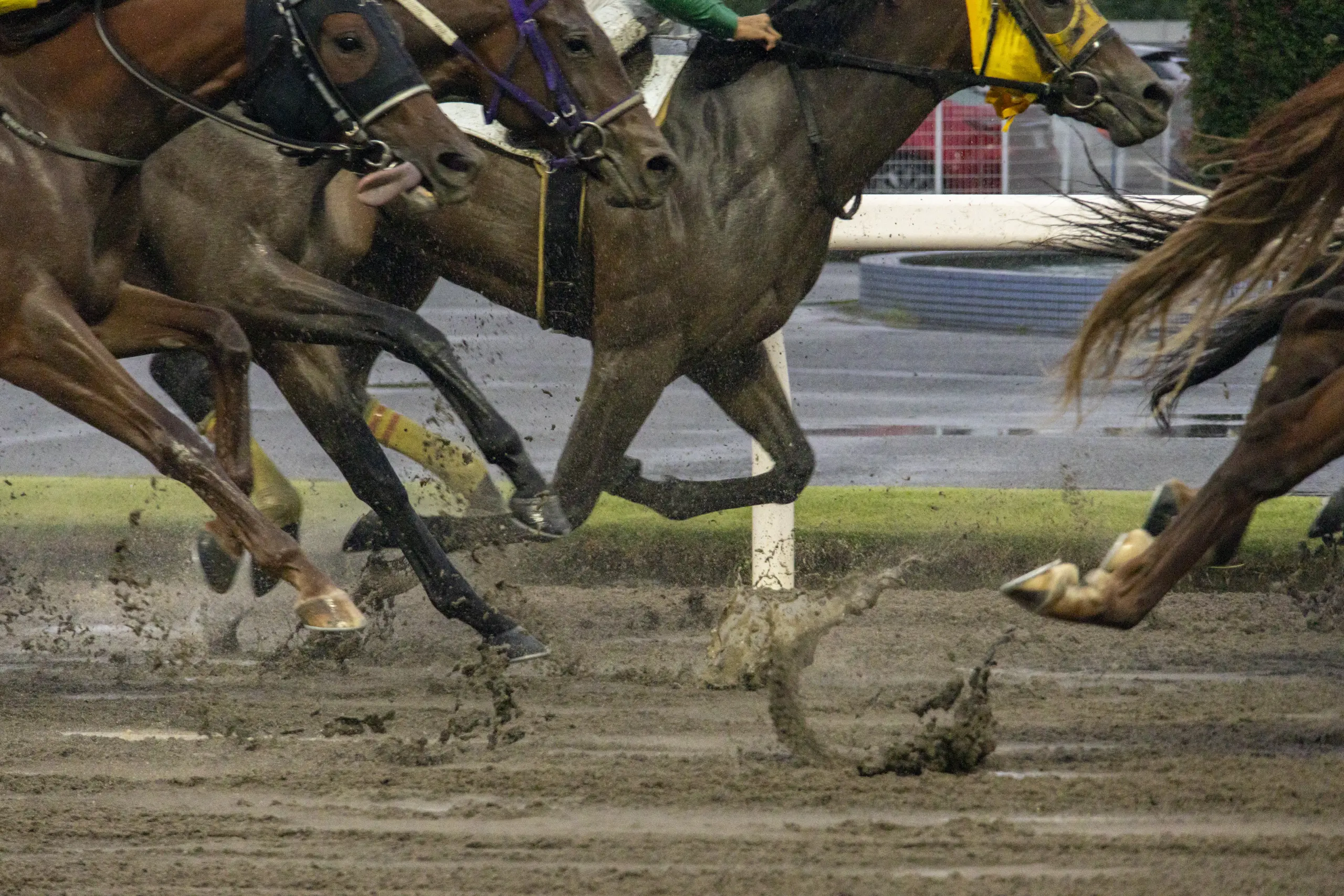 第二回川崎競馬場フォトツアーに参加