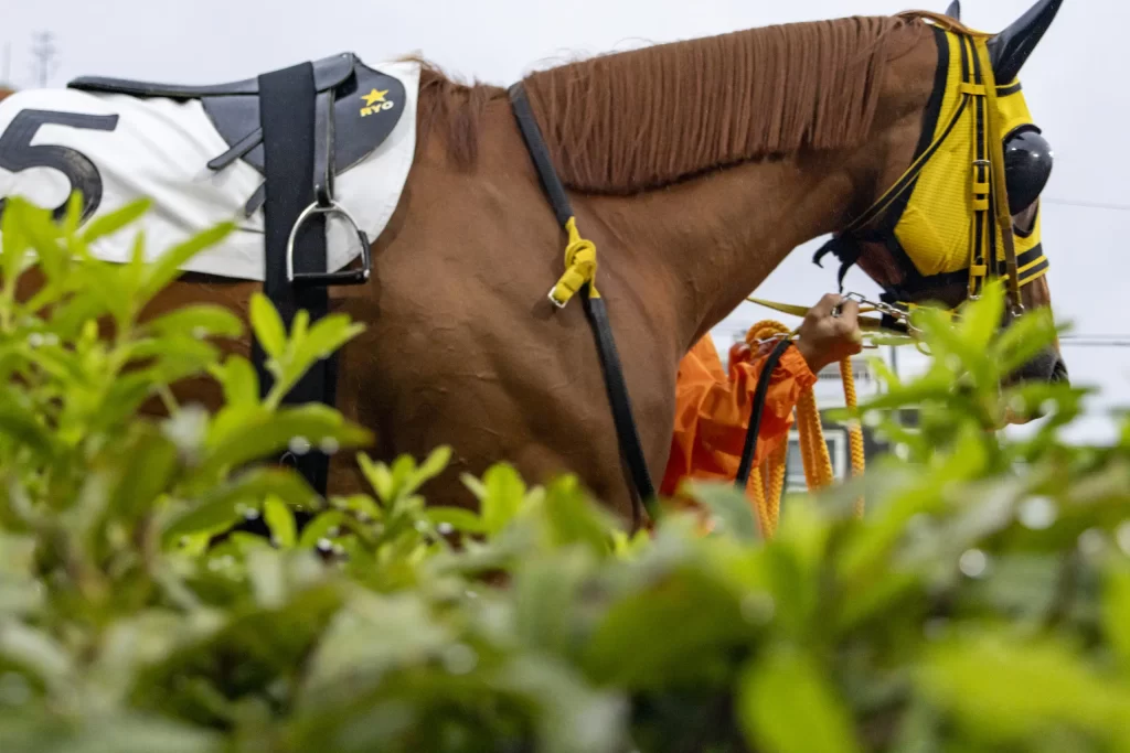 第二回川崎競馬場フォトツアーに参加