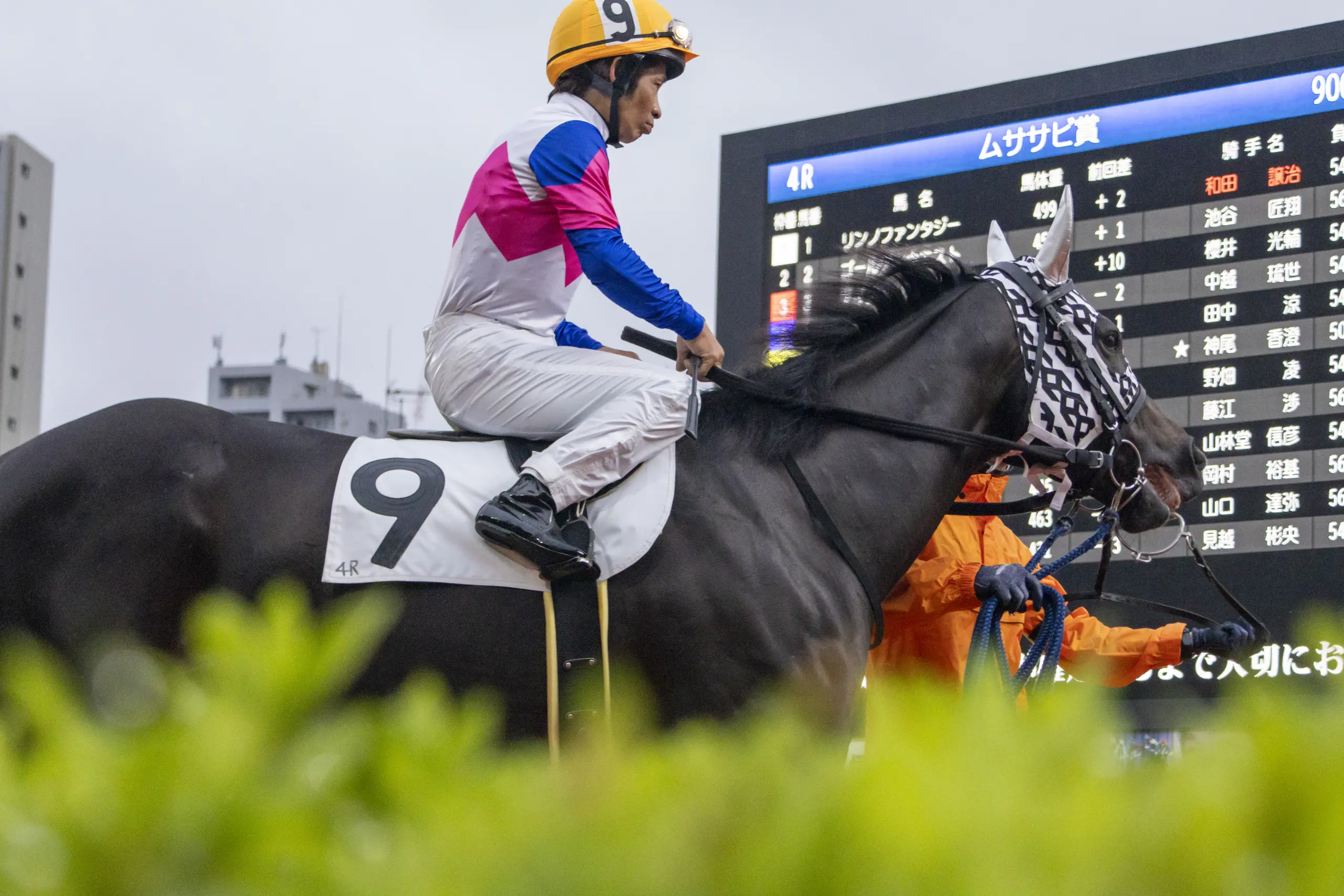 第二回川崎競馬場フォトツアーに参加