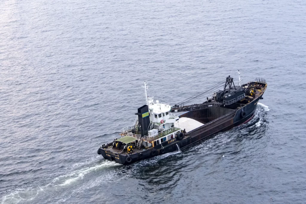 スカイウォークからダイヤモンド・プリンセスを見送る