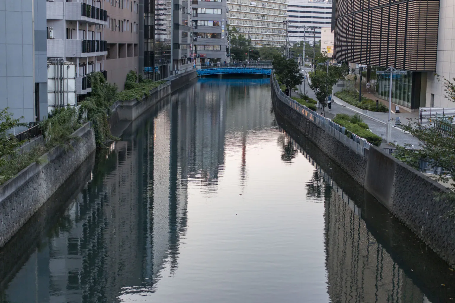 南太田→大岡川→関内→野毛→桜木町→横浜