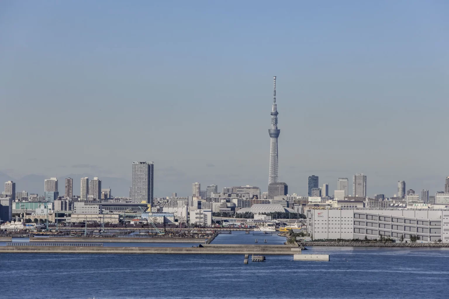 若洲公園と東京ゲートブリッジ