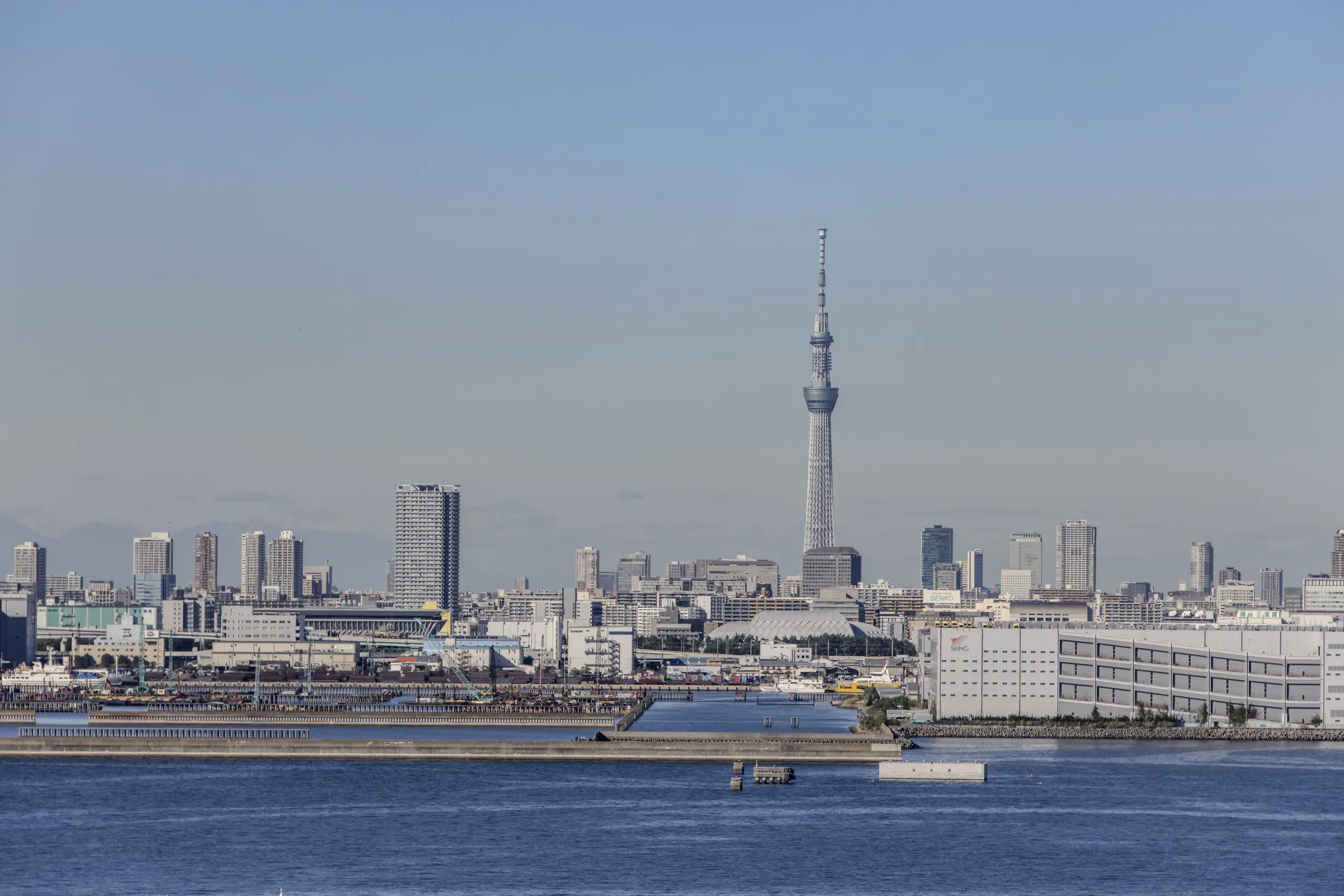 若洲公園と東京ゲートブリッジ