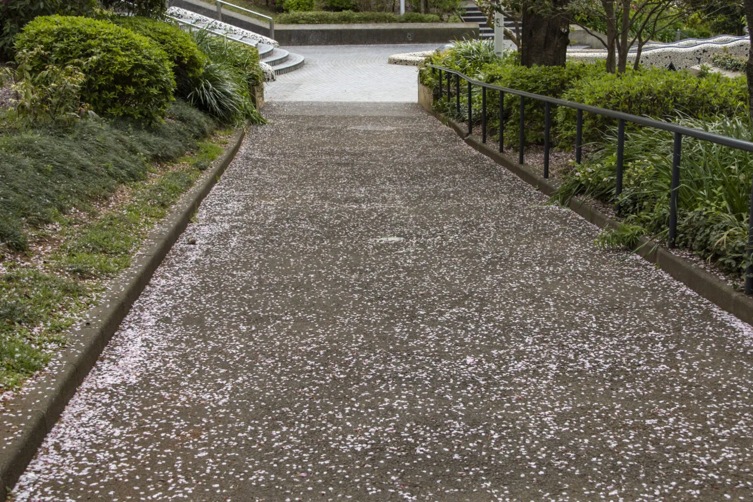 関内横浜公園→中華街→山下公園→みなとみらい
