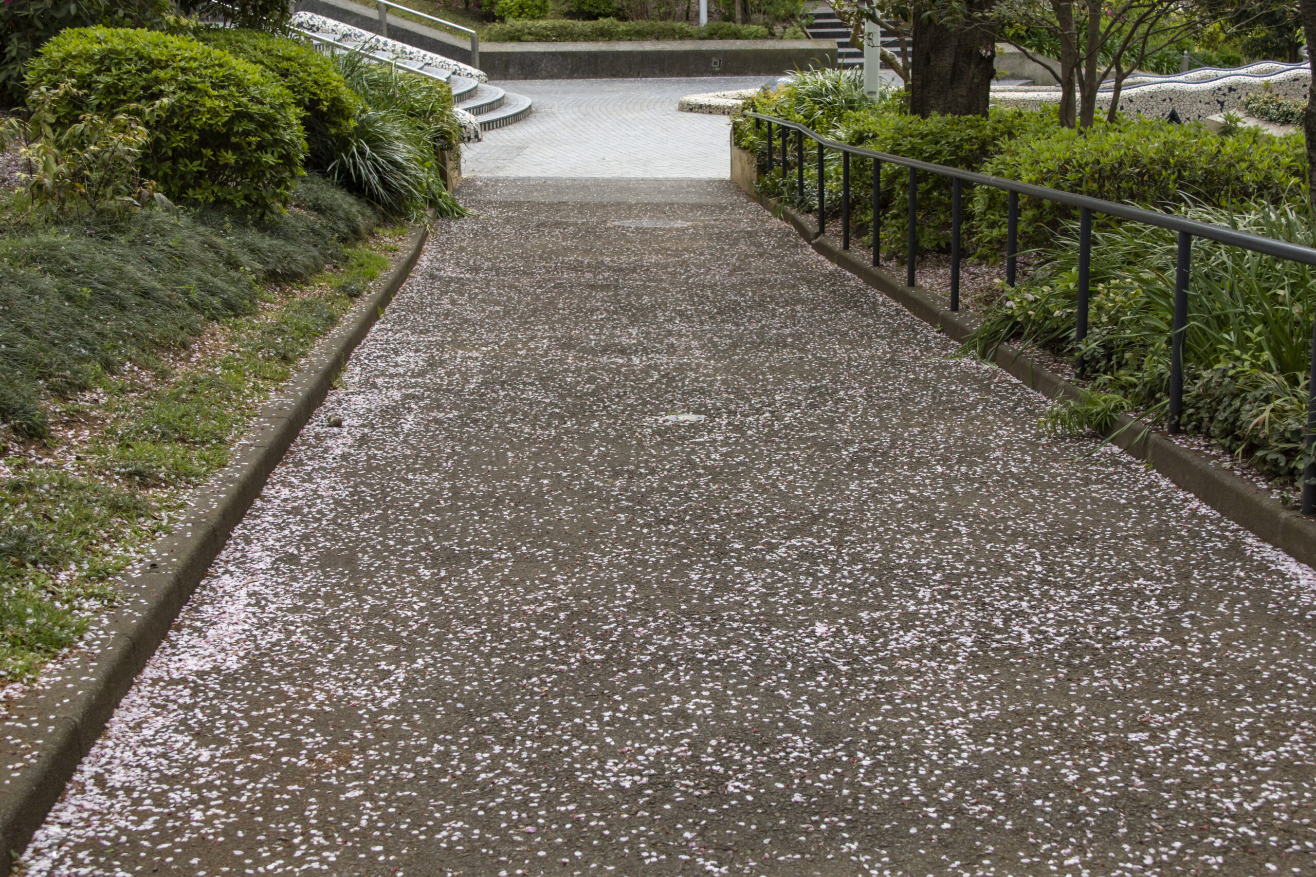 関内横浜公園→中華街→山下公園→みなとみらい No.21