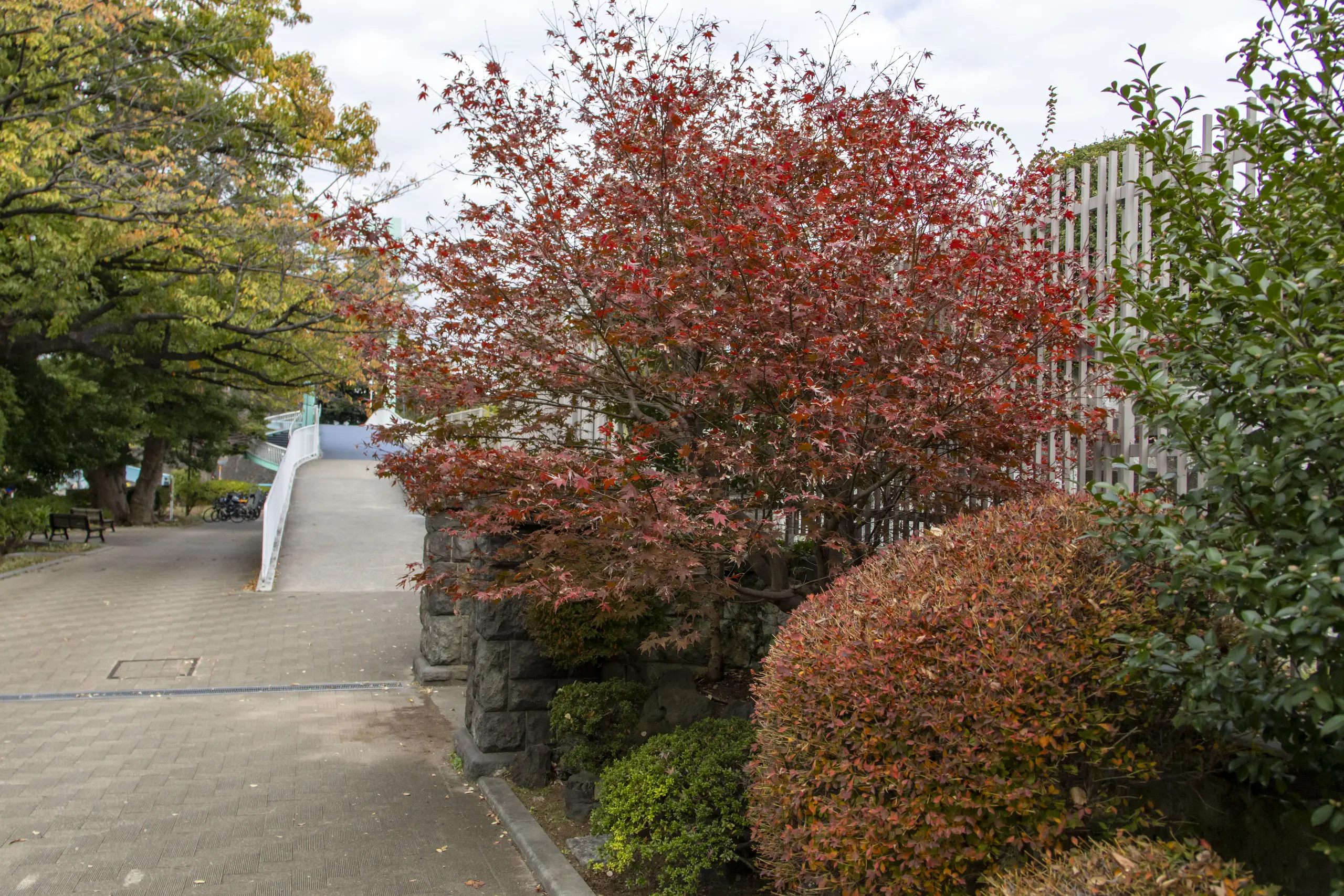 横浜野毛山公園＋動物園 No.6