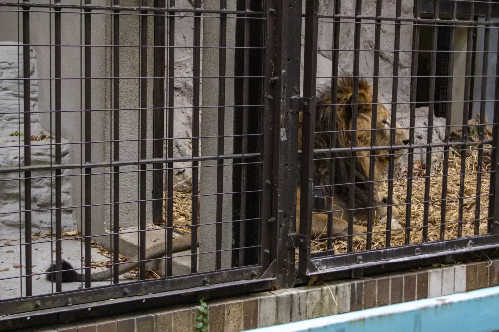 横浜野毛山公園＋動物園