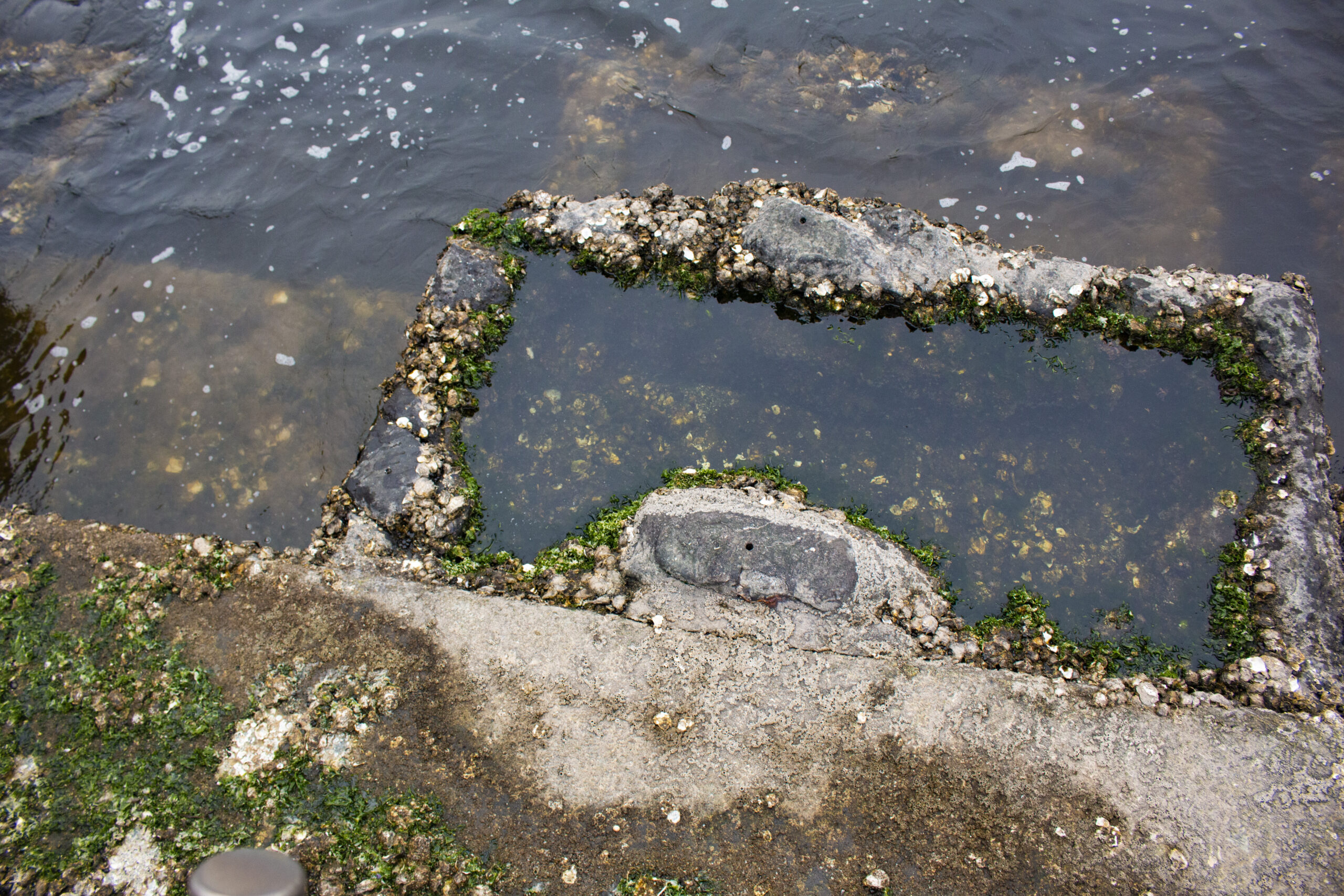 福富町→みなとみらい