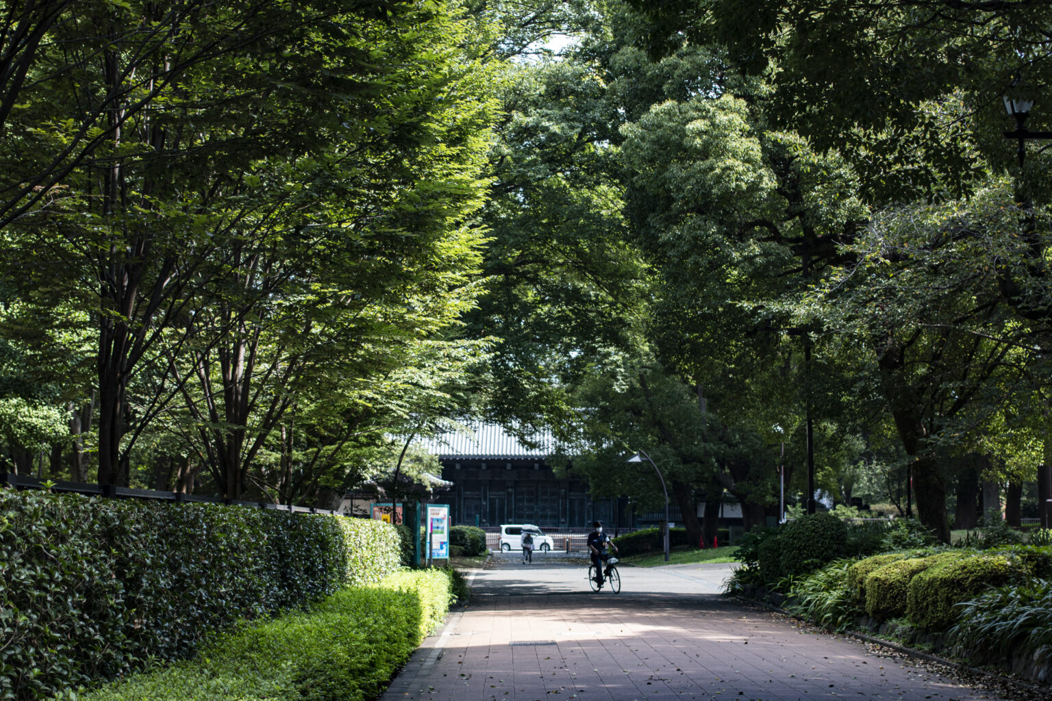 人の少ない上野公園