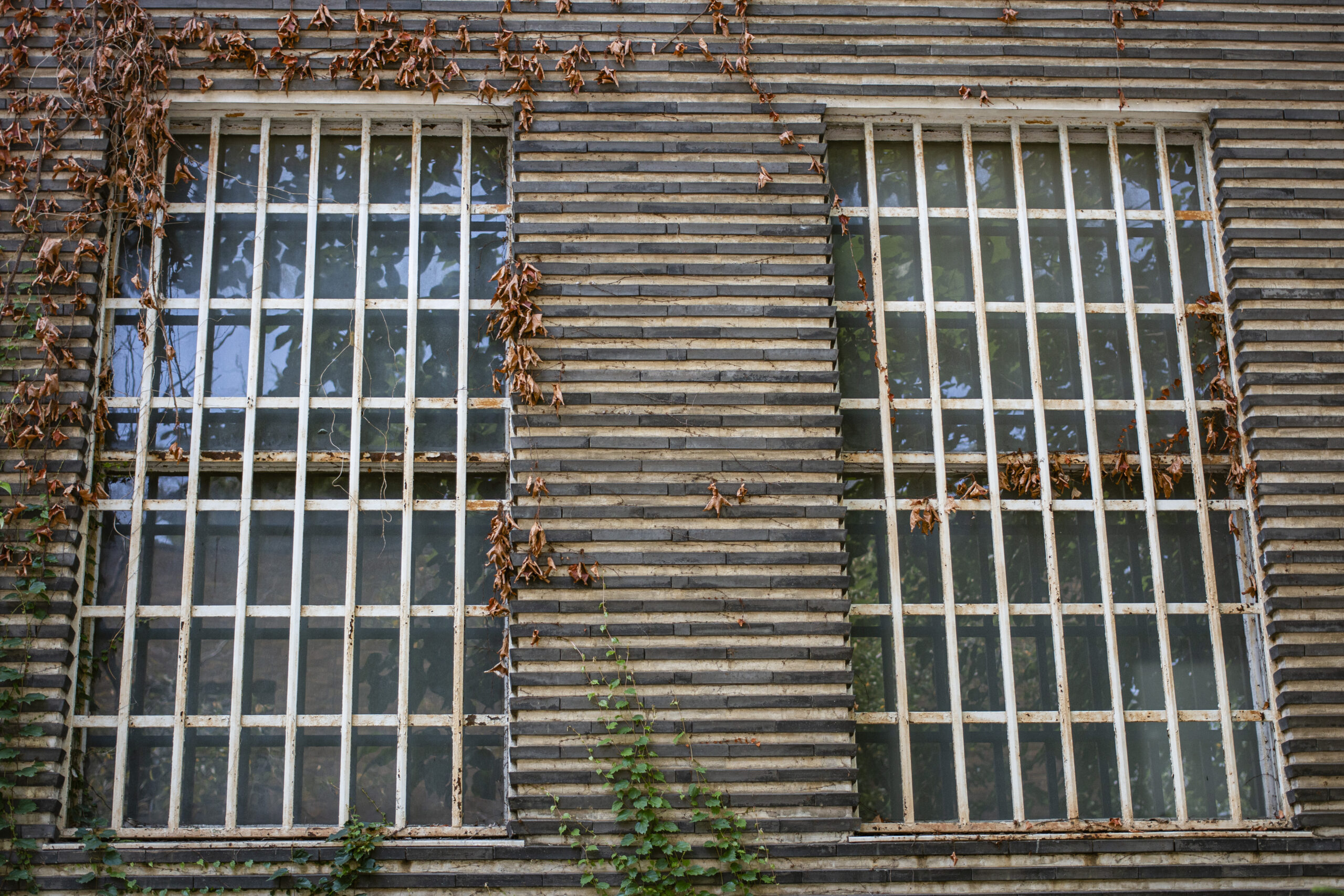 人の少ない上野公園