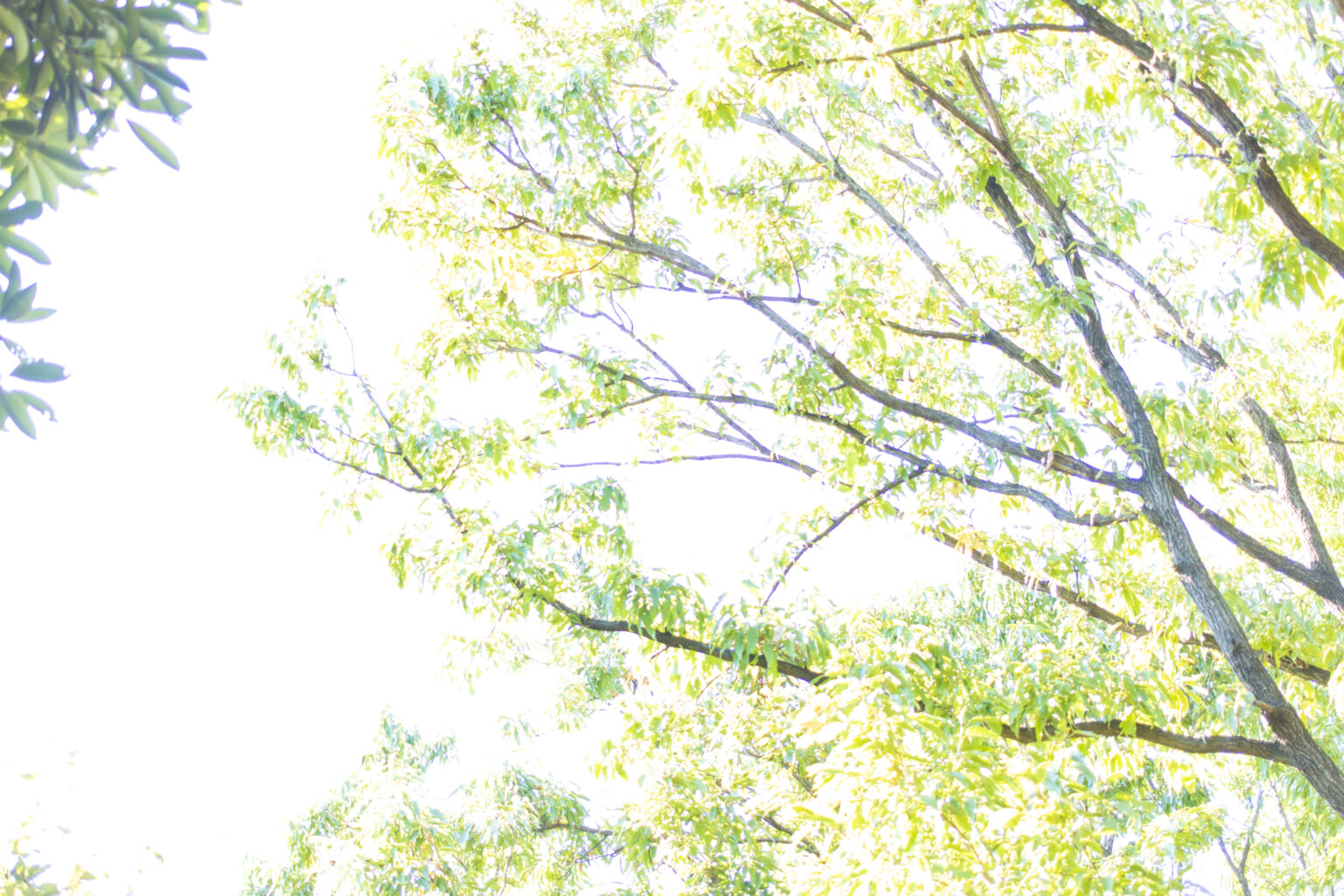 東京港野鳥公園散策
