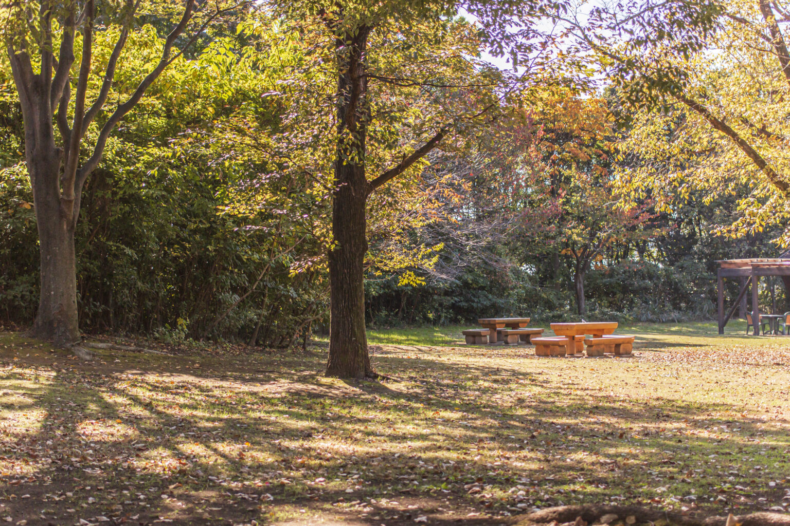 東京港野鳥公園散策