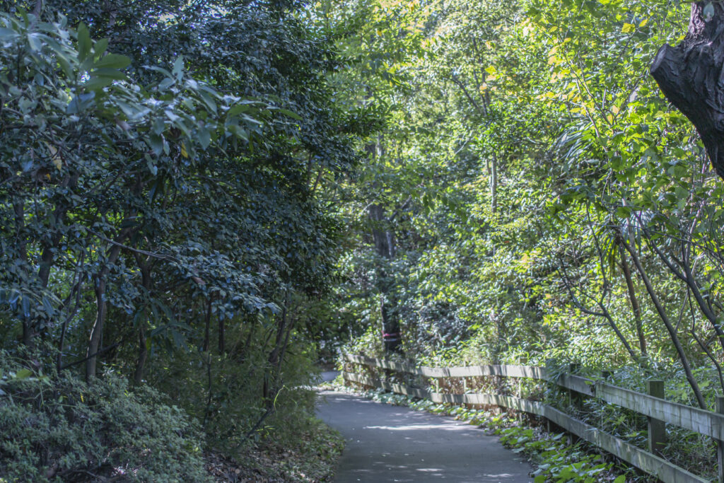 東京港野鳥公園散策