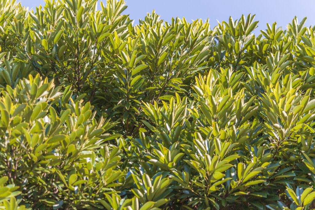 東京港野鳥公園散策