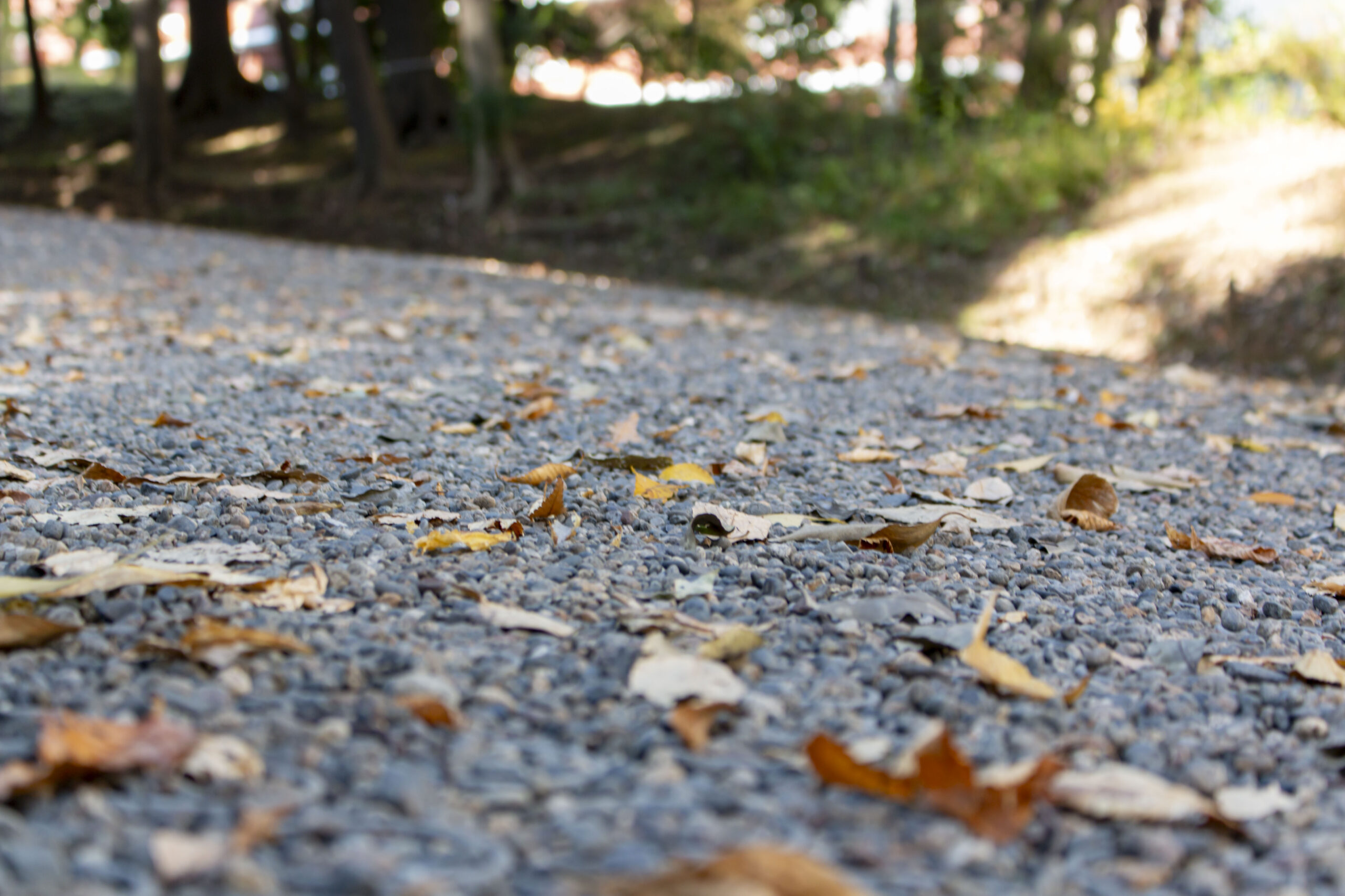 高輪GW駅→旧岩崎邸庭園
