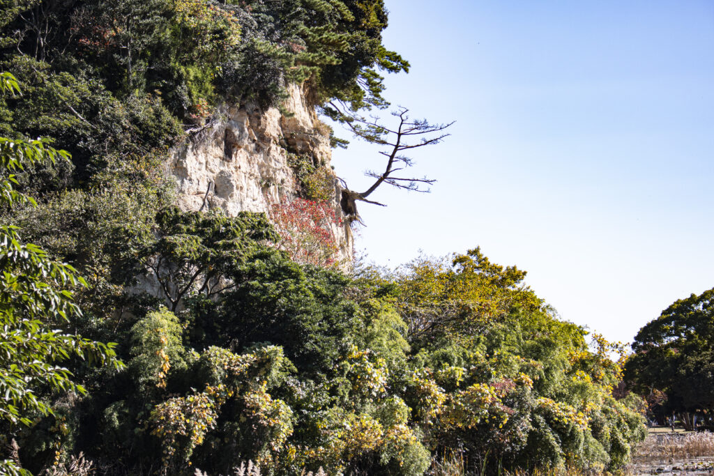 三溪園散策