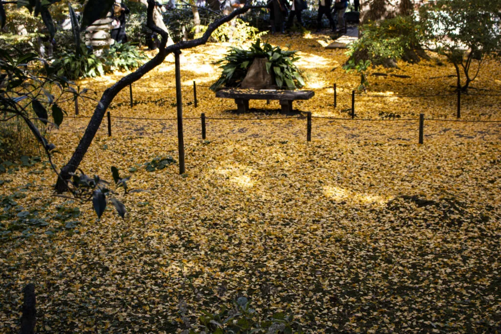 三溪園散策