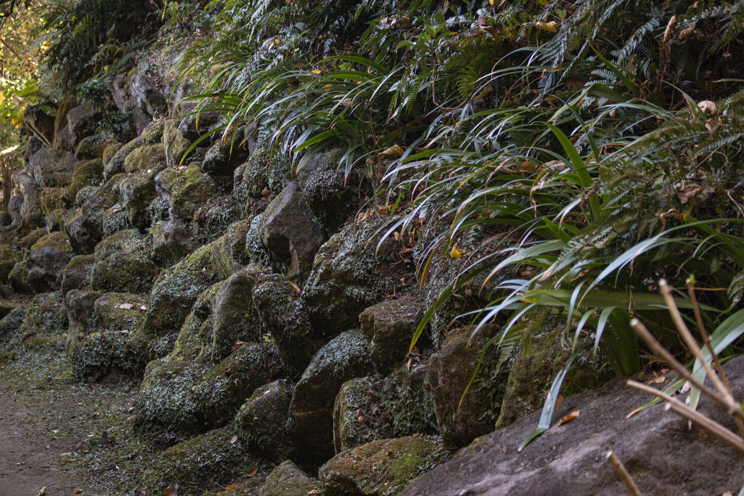 三溪園散策 No.7