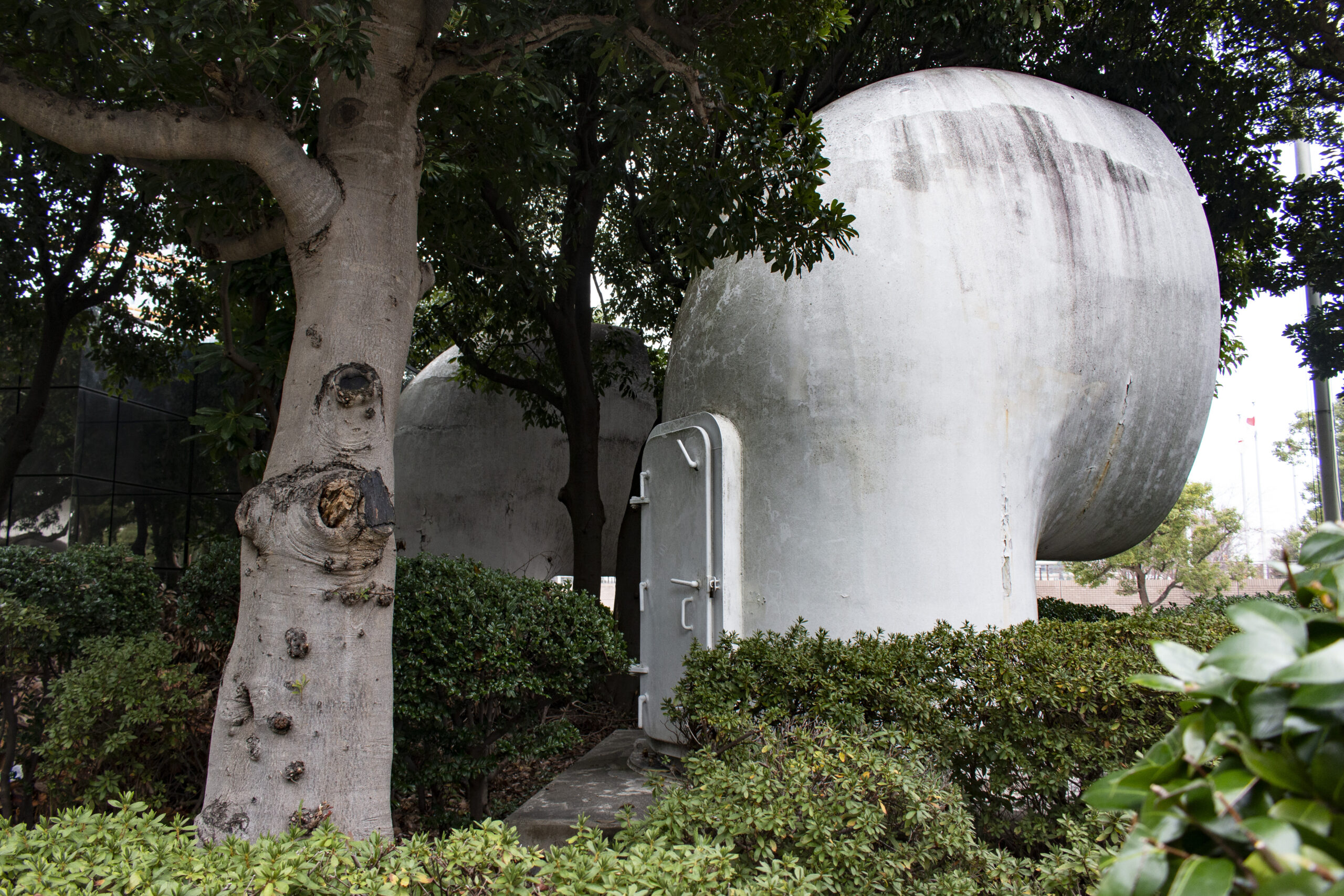 日出町→横浜 No.12