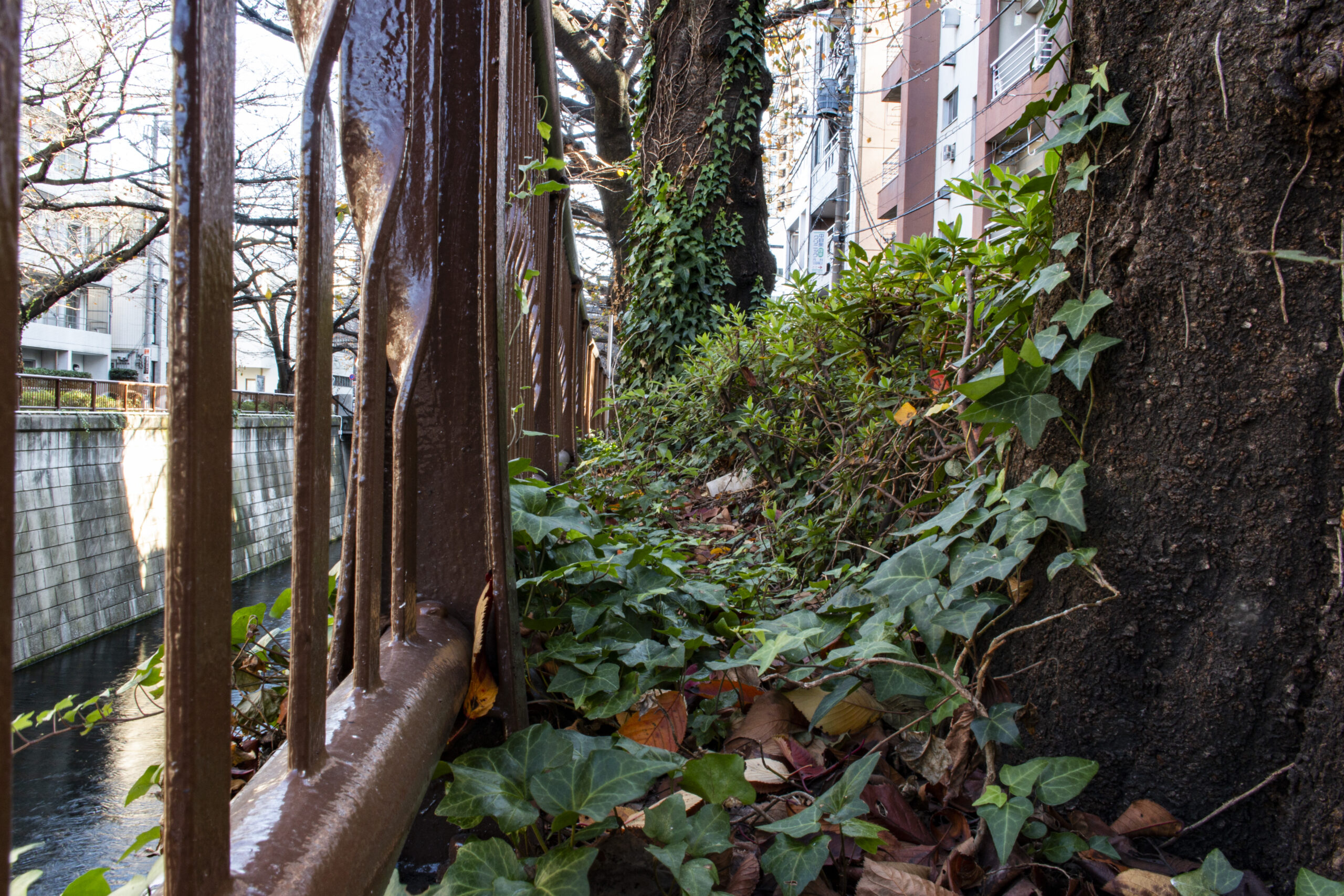 中目黒→恵比寿