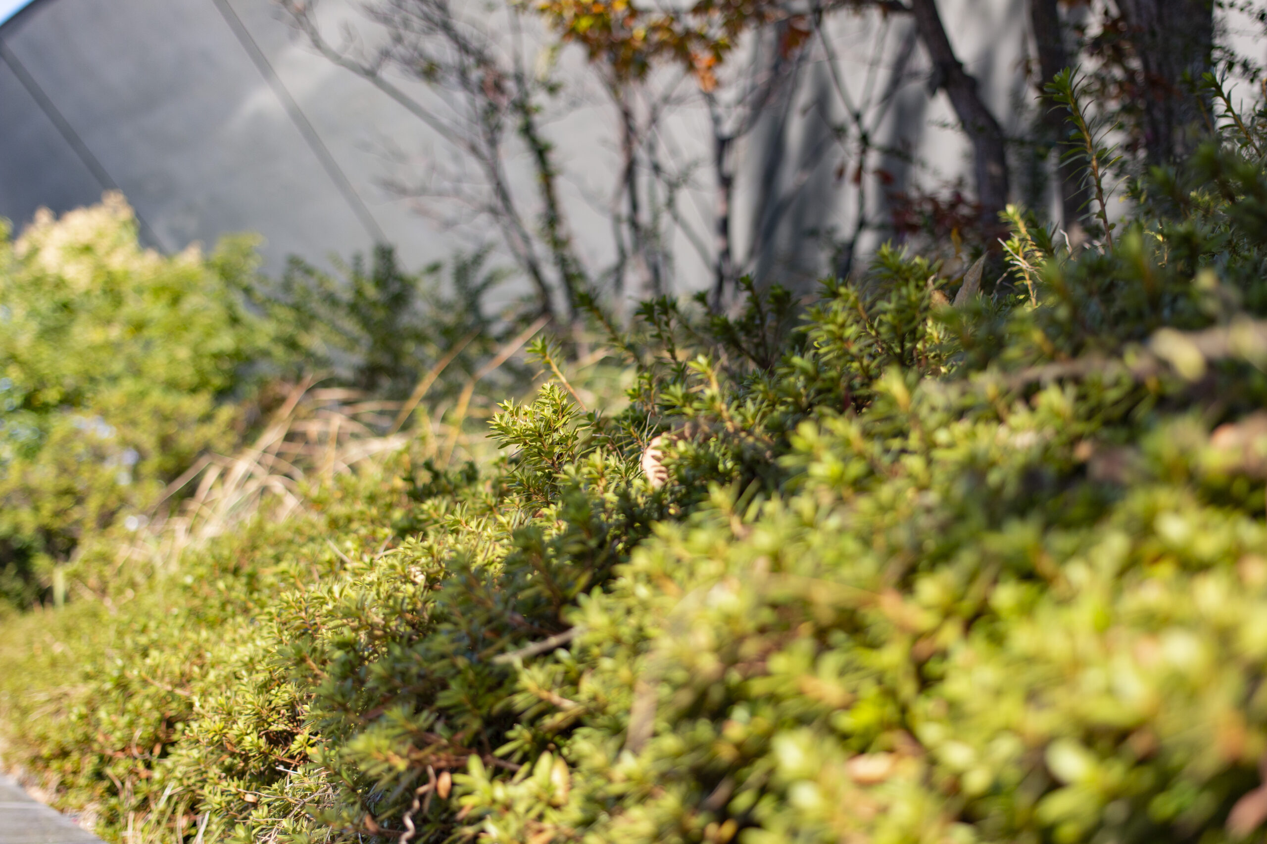 京急蒲田→天空橋→羽田