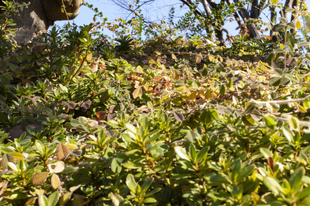 京急蒲田→天空橋→羽田