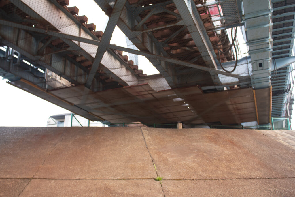 朝の多摩川の青