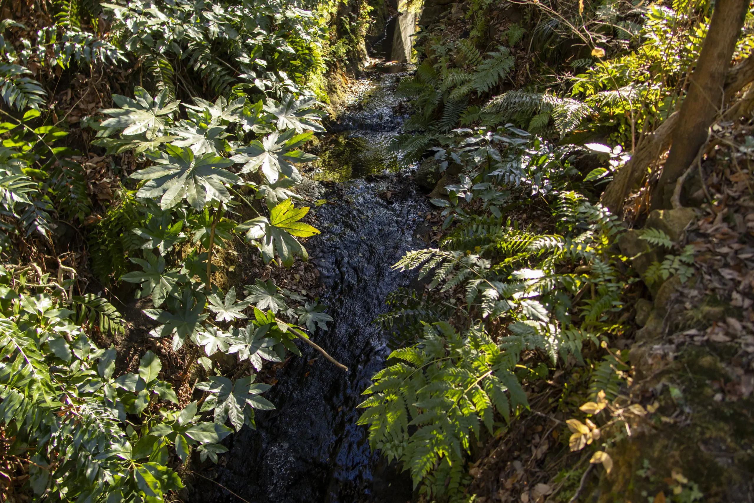 大船駅→いろいろ→金沢文庫