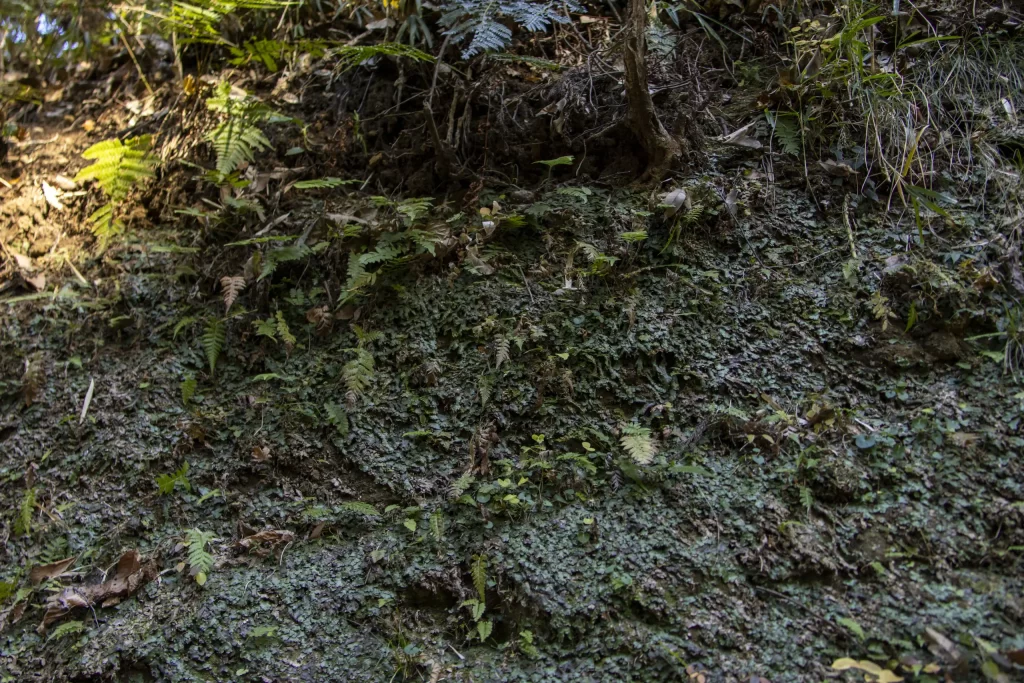 大船駅→いろいろ→金沢文庫